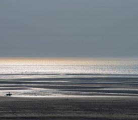 Baies de Canche et d’Authie