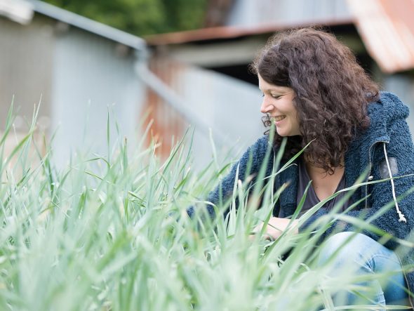 Produits de la terre
