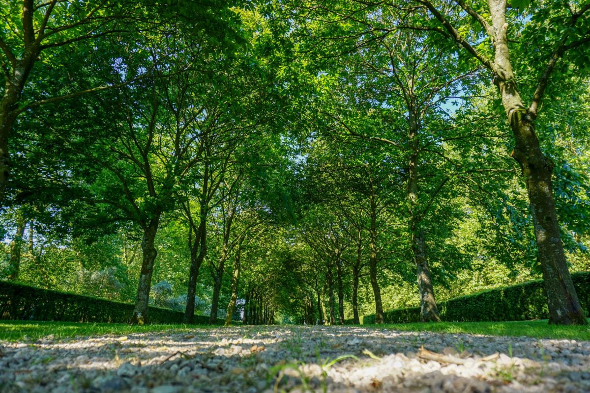 Chateau Humerœuille - Crédit photo : Marion - Pas-de-Calais Tourisme