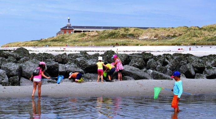 Que l’aventure commence …