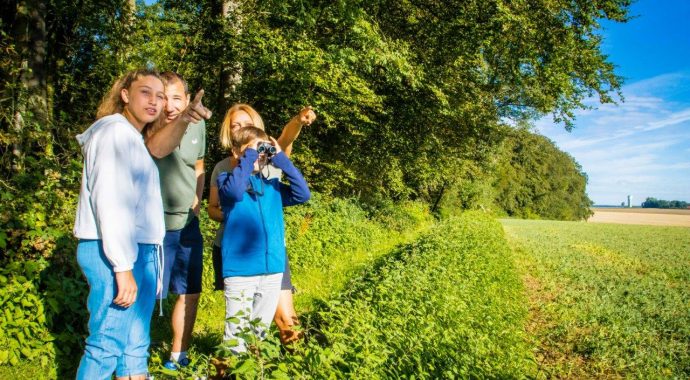 Reconnexion sylvatique