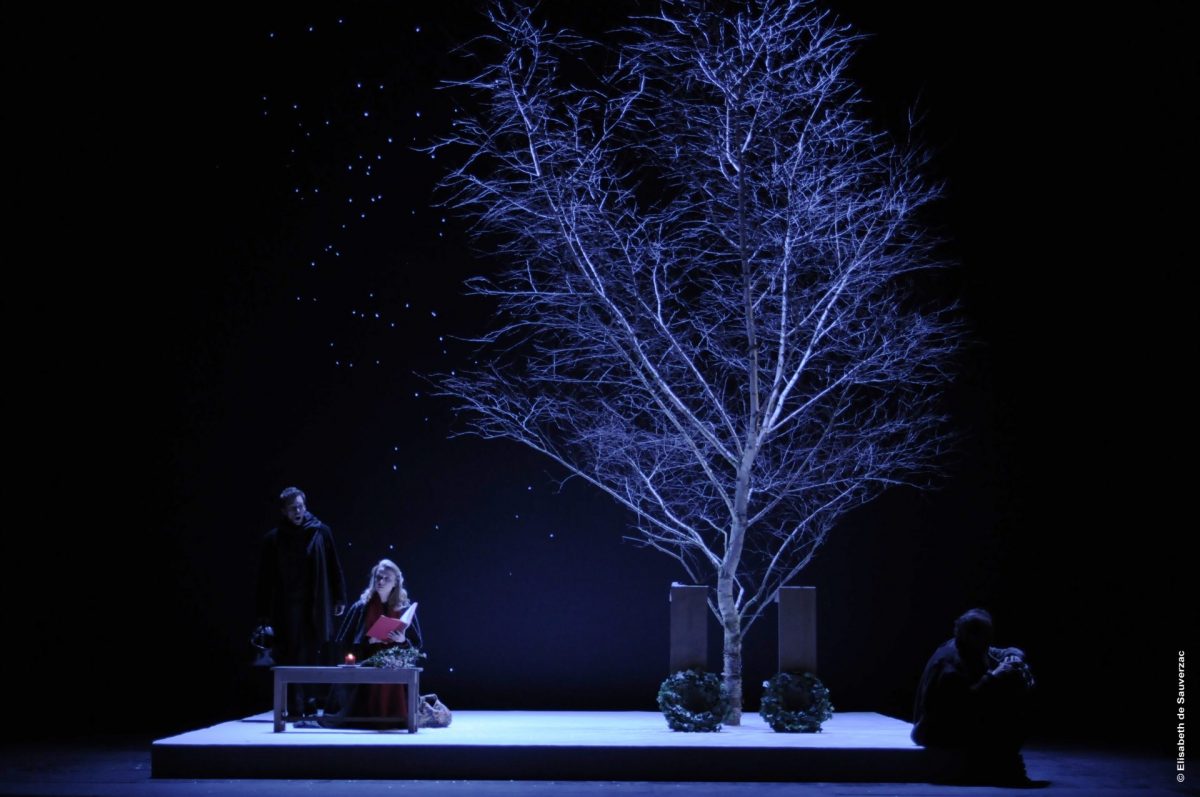 Voyage d'hiver à l'Athénée Théâtre Louis-Jouvet à Paris en 2012 (photo Elisabeth de Sauverzac)