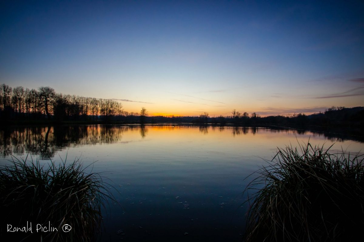 EtangsetMaraisdeContesRonaldPiclinPhotographe