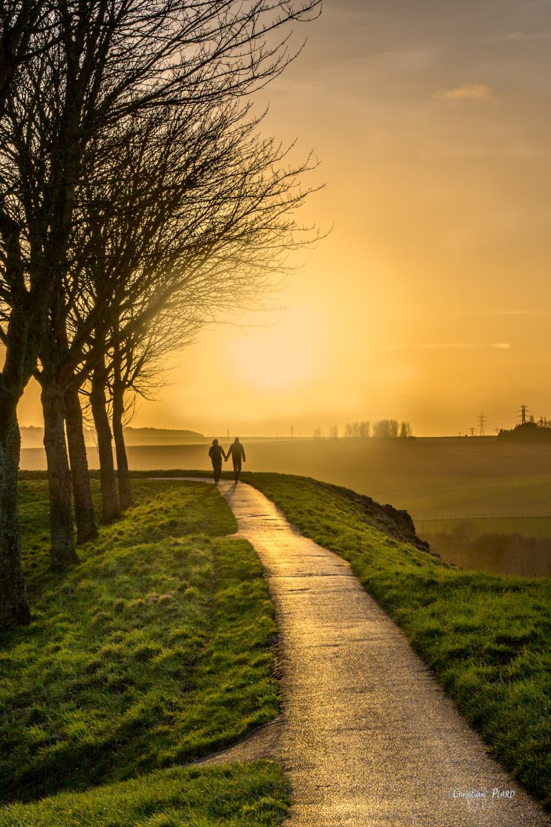 promenade-remparts-montreuil