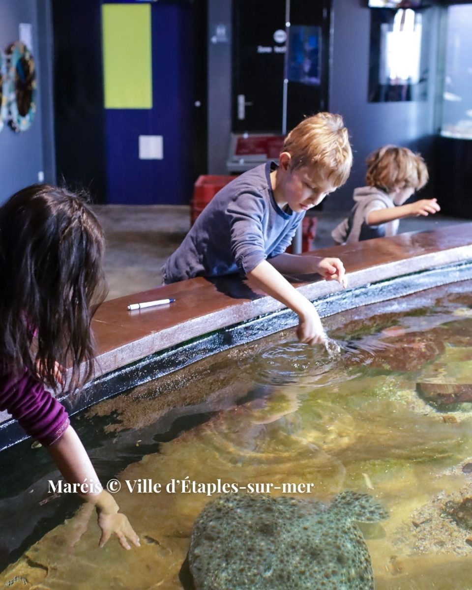 Que faire sur la côte d'opale quand il pleut