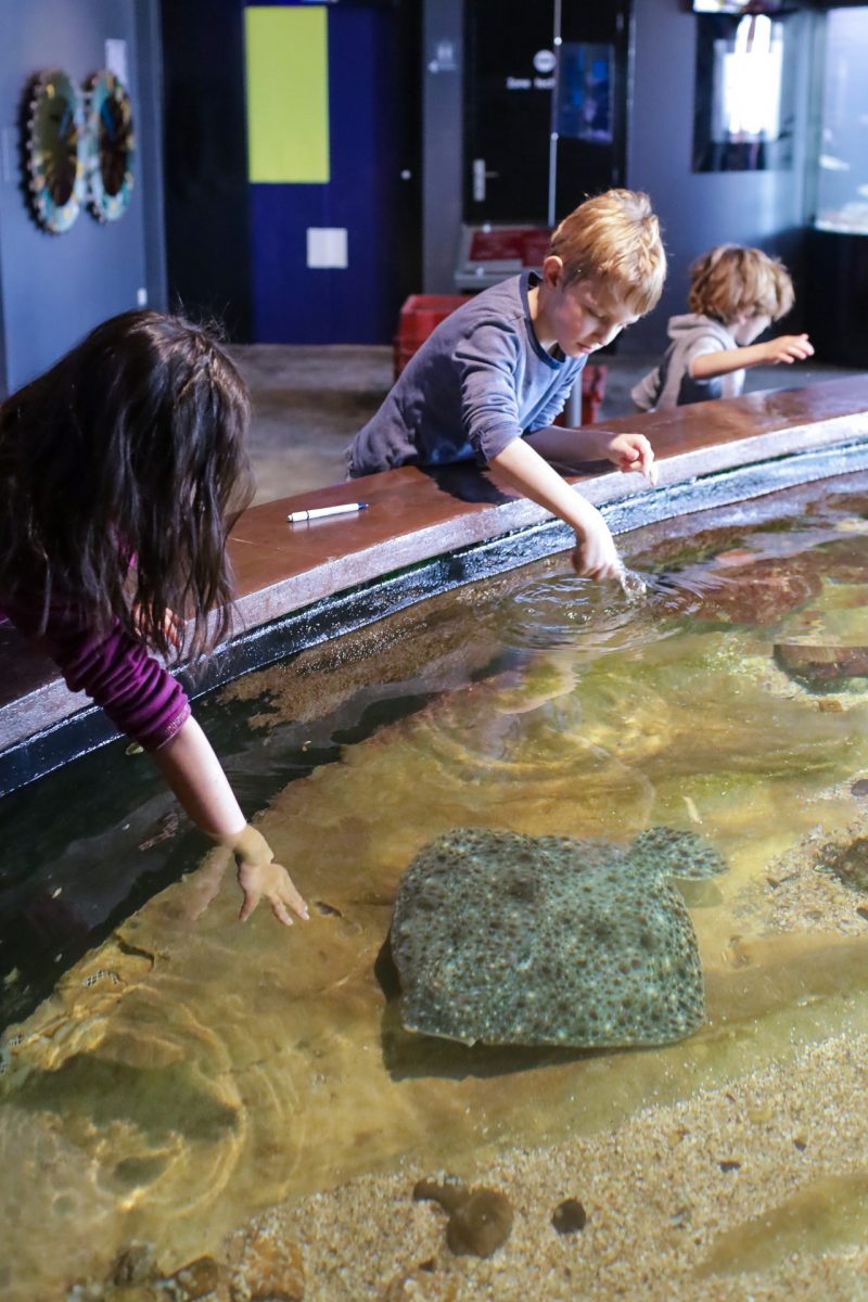 Que visiter pour les Journées Européennes du Patrimoine sur la Côte d'Opale ?
