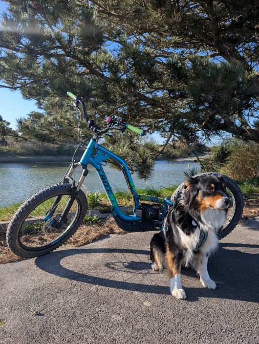 PXL_20250405_161136762