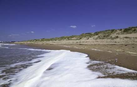 Réserve Naturelle Nationale de la Baie de Canche – Les grandes marées