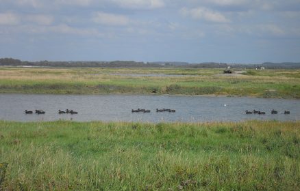 S.O.S. Baie d&rsquo;Authie