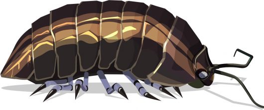 19-baie-canche-18-03