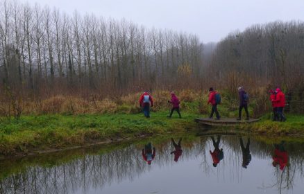 Cyclos et randonneurs pédestres auxilois