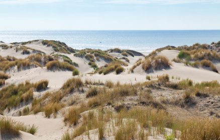 Dunes de Mayville – A chacun son milieu