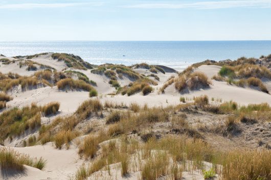 26-dunes-stella-merlimont-21-07