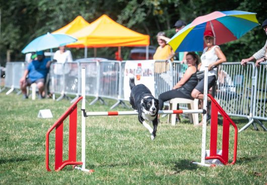 458243956-539334811776430-686413576116505013-n