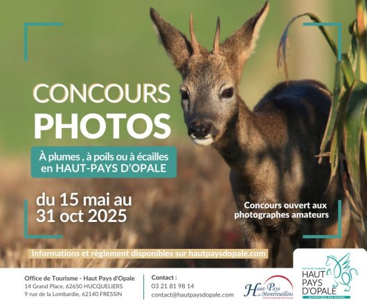 505199769-1296251259175055-183836689070517662-n