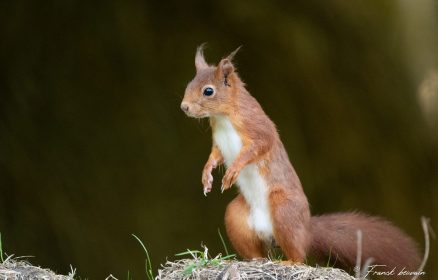 Votre semaine en 7 Vallées