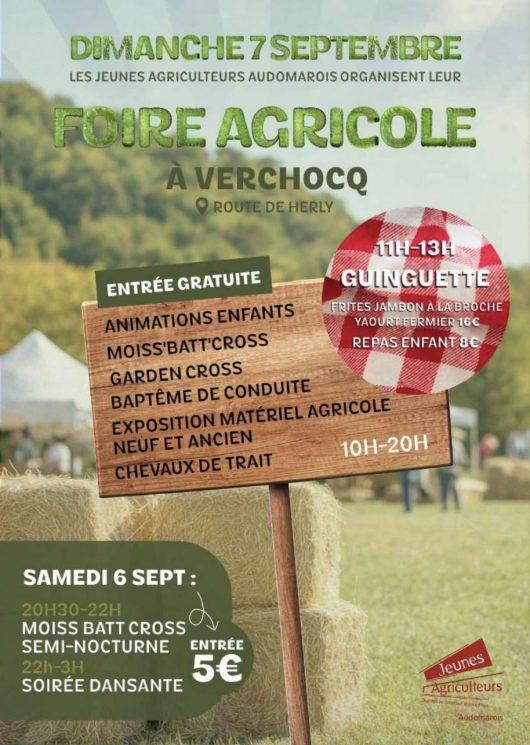 520638350-1276389447820499-9020061571868187149-n