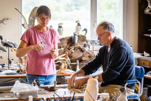 558967134-1563908824589607-4977631017594251091-n