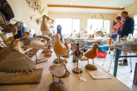 559476662-1563908897922933-3121564747824829545-n