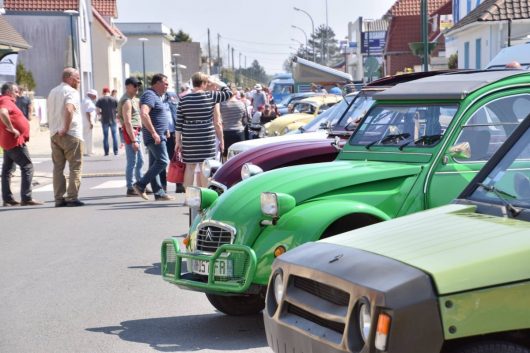 57464878-2598324293515639-1733913486062256128-n-1200×800