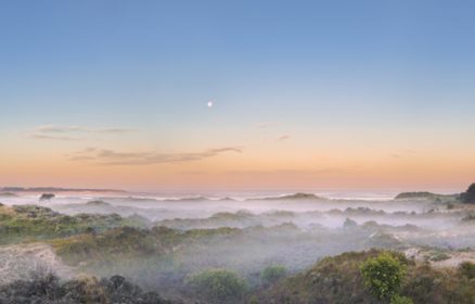 Réserve Naturelle Nationale de la Baie de Canche – Dans les coulisses de la réserve