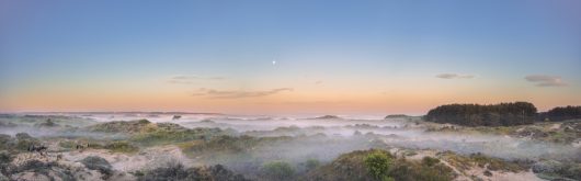 58-baie-de-canche-26-04