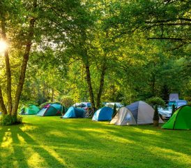Camping – La route fleurie