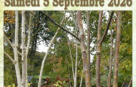 Fête des Plantes à Fressin Ô Jardin Paisible