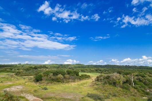 74-baie-de-canche-31-05