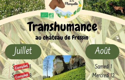 Transhumance au Château de Fressin