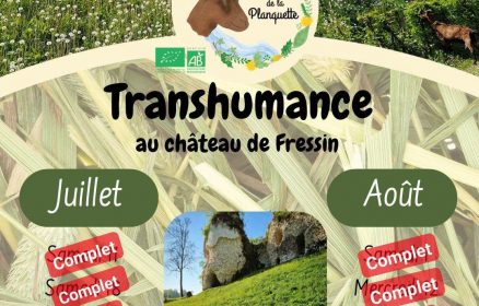 Transhumance au Château de Fressin