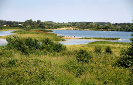 La foraine d&rsquo;Authie – Les oiseaux de la foraine