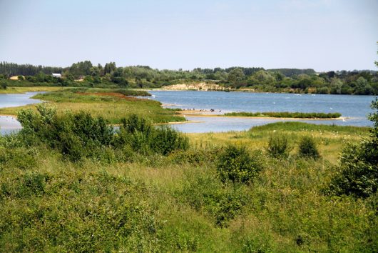 82-foraine-d-authie-10-06