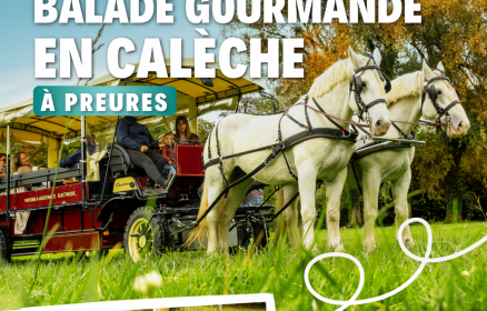 Balade en calèche dans le cadre du Festival de la biodiversité – Samedi 12 septembre à 17h