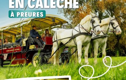 Balade en calèche – Vendredi 14 août