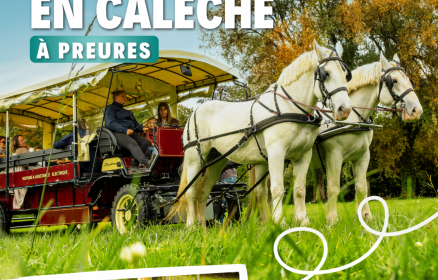 Balade en calèche