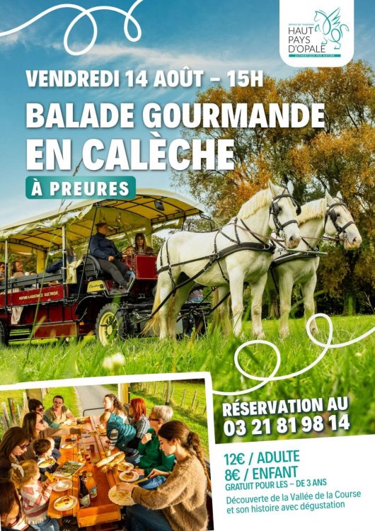 affiche-promotionnelle-sport-randonnee-moderne-photo-vert