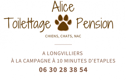 Alice Toilettage et Pension