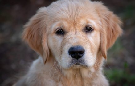 Au Jardin d&rsquo;Eden