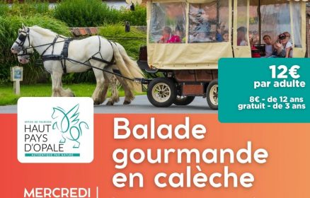 Balade gourmande en calèche – 21 octobre