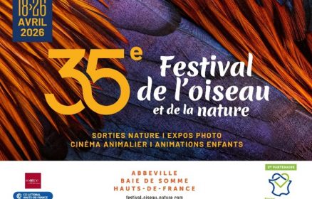 Festival de l&rsquo;oiseau et de la nature