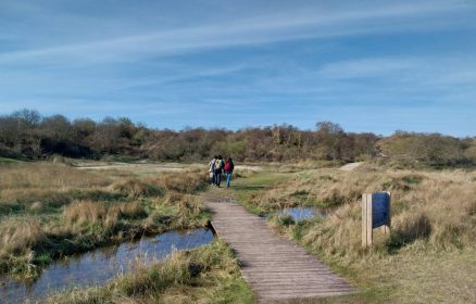 Balade nature en partenariat avec le Conservatoire d&rsquo;Espaces Naturels Vie nocturne et biodiversité
