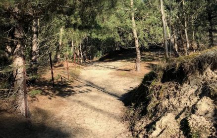Sortie nature « A la rencontre des chèvres »