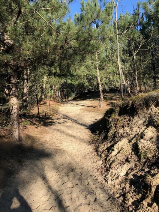 baie-de-canche-2-claire-1