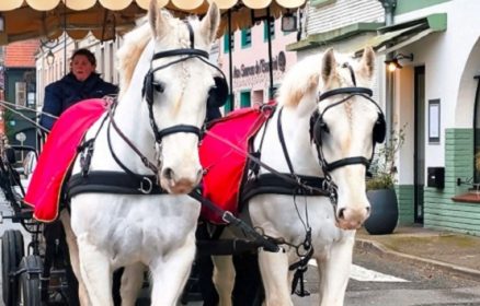 Balades en Calèche à Montreuil