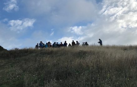 Cueillette et brin de causette dans la baie