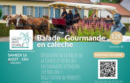Balade en calèche – 16 août