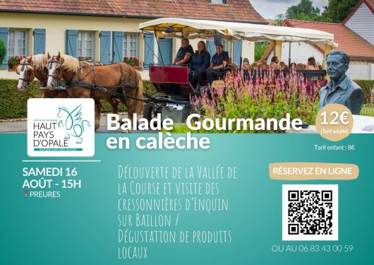 balade-en-caleche-16-aout-3