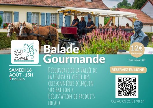 balade-en-caleche-16-aout