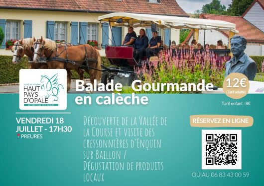 balade-en-caleche-18-juillet-2